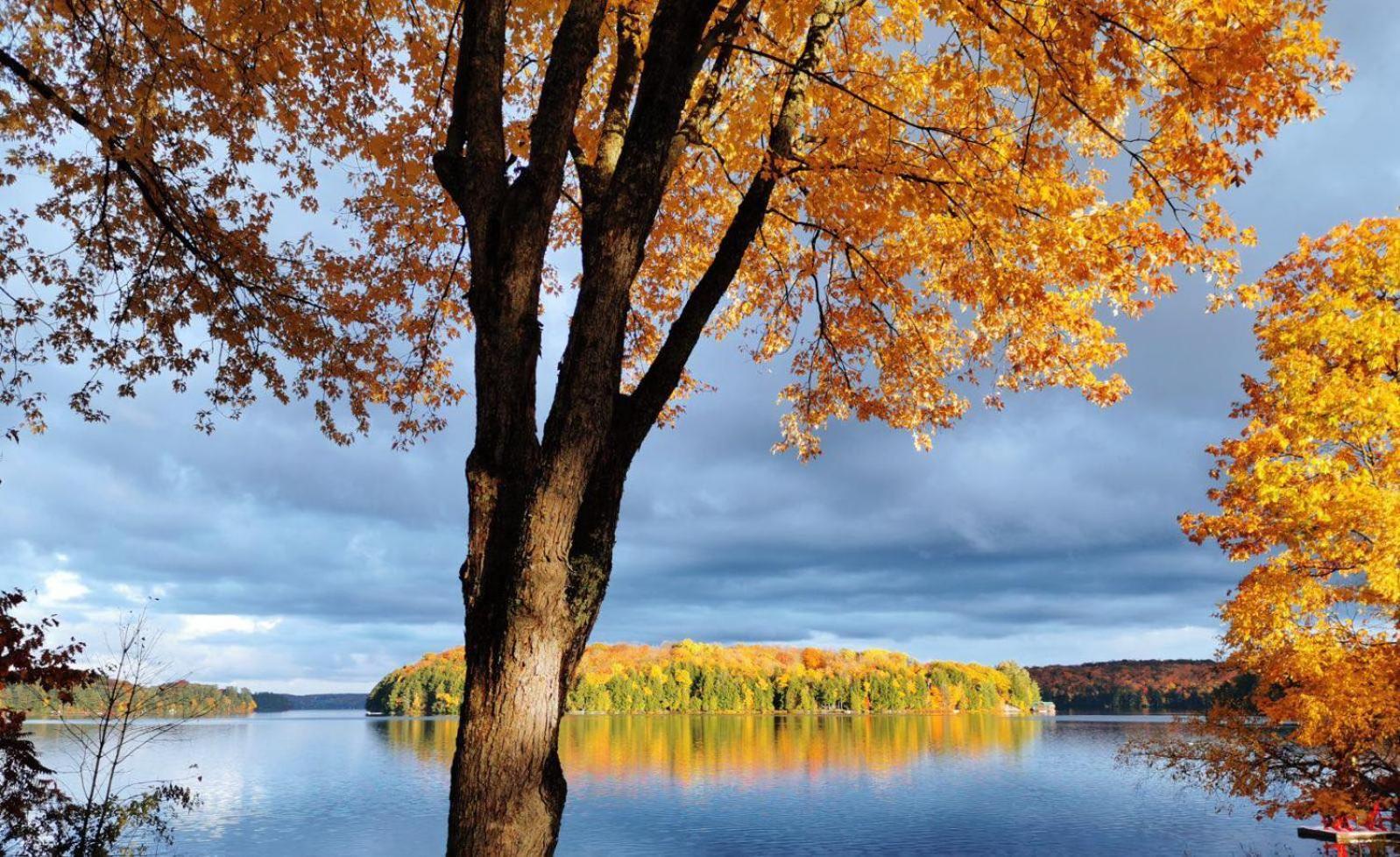 Muskoka Escape Hotel Port Carling Kültér fotó