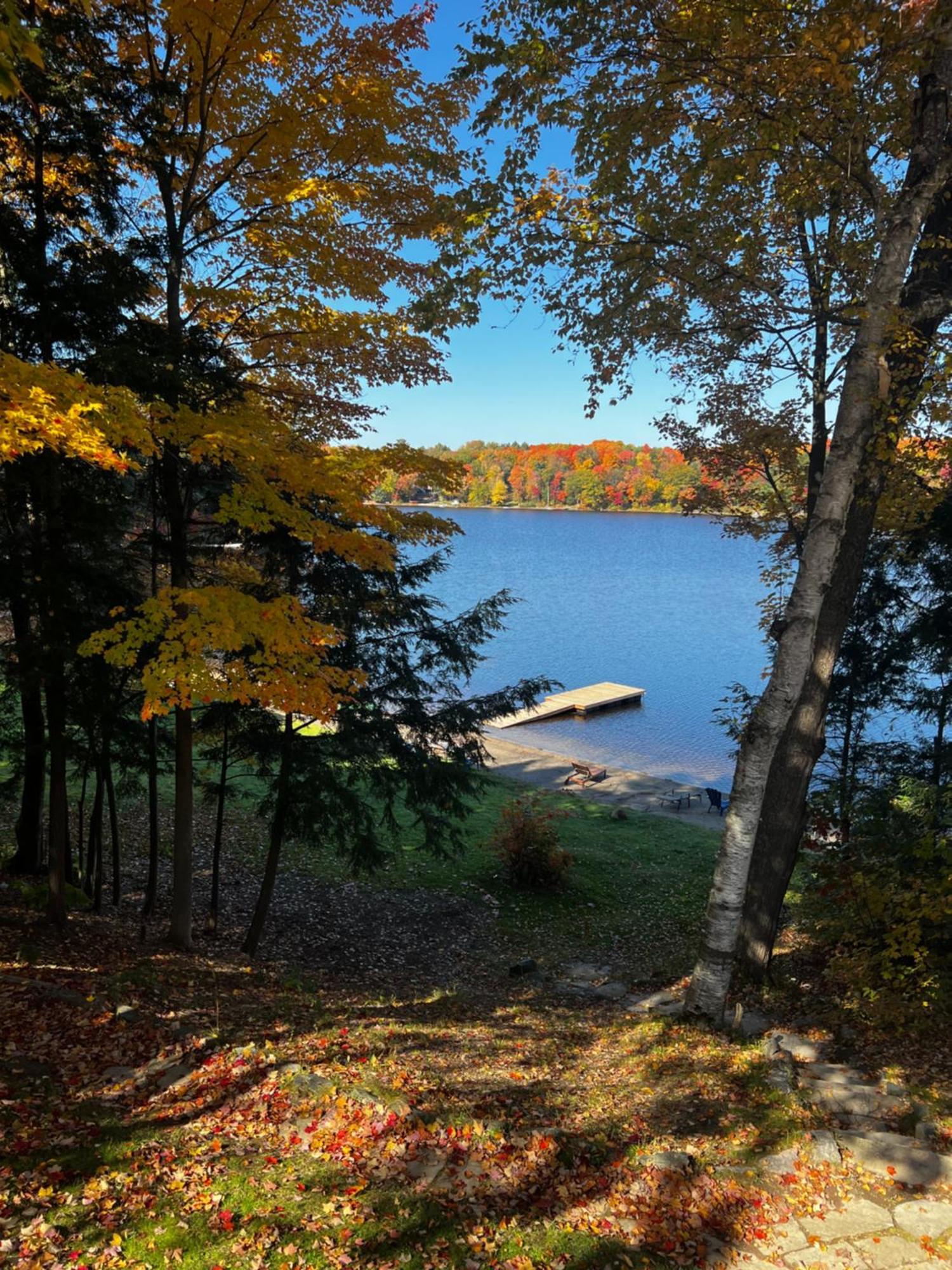 Muskoka Escape Hotel Port Carling Kültér fotó